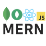 MERN Stack Development